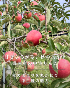 甘さひろがる、秋の真ん中 盛岡産の中生りんご