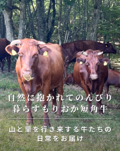 自然に抱かれてのんびり 暮らすもりおか短角牛
