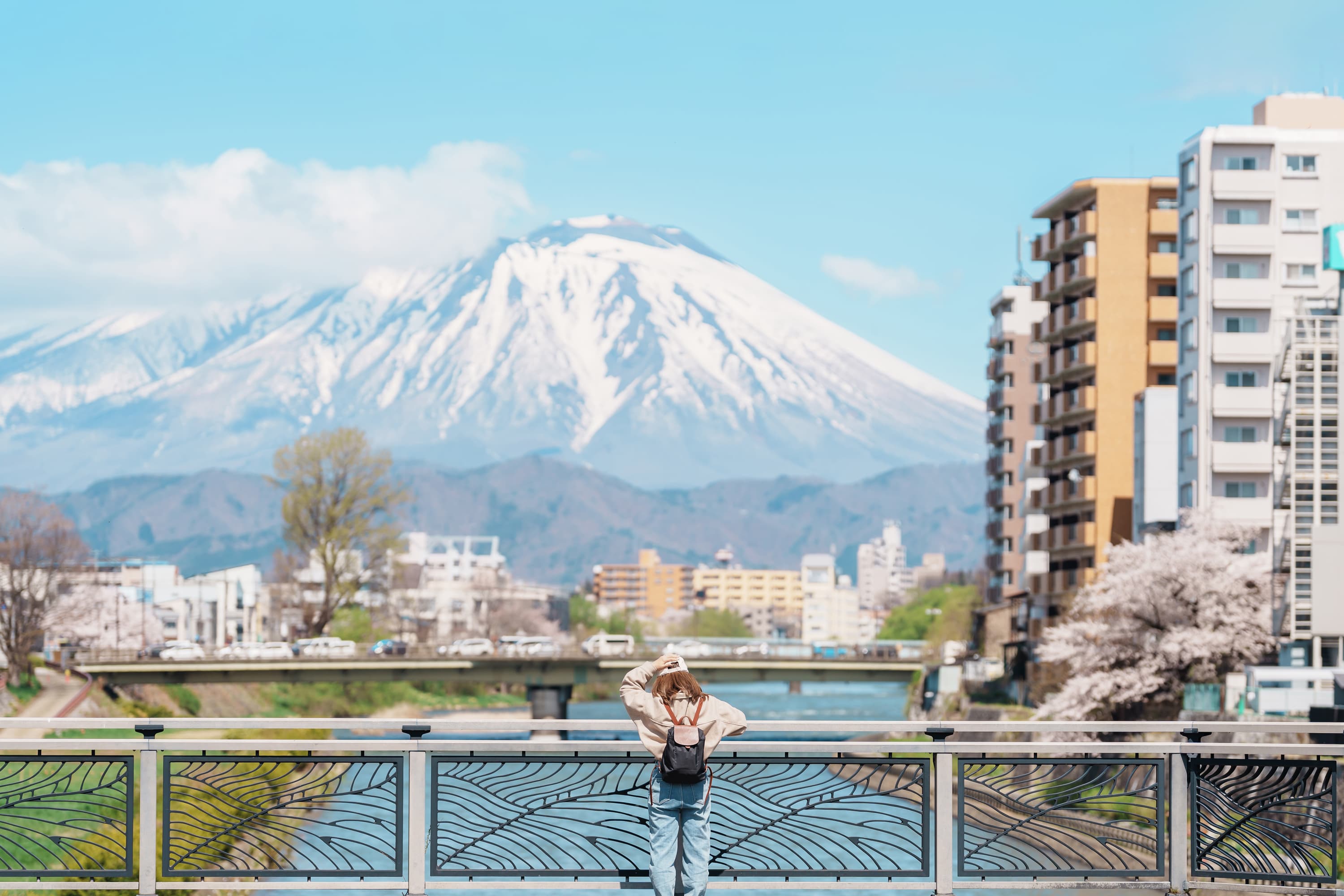 盛岡市の橋から見た岩手山